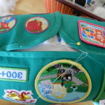 Girl Scouts Vest Pillow