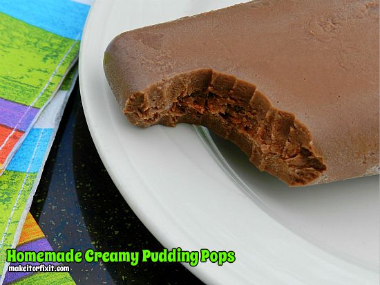 Homemade Creamy Pudding Pops