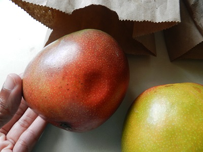 Ripening Mangoes in a Paper Bag